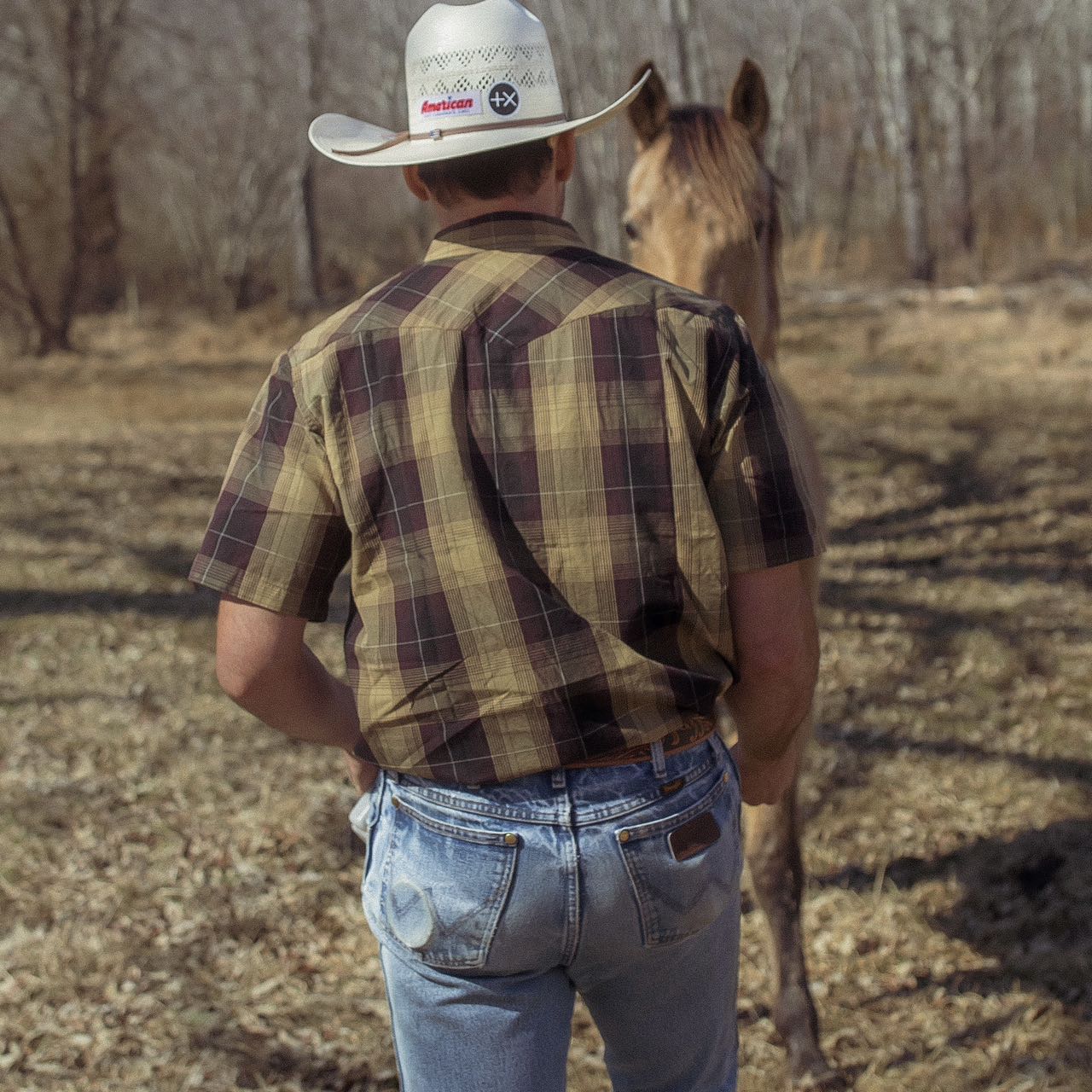 Odin | Western Herreskjorte Kortermet Ruter Pearl Snap Casual Arbeidsskjorte